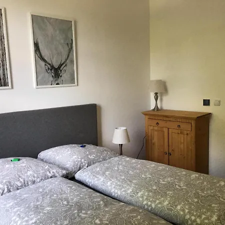 Schweizerhaus Appartamento *