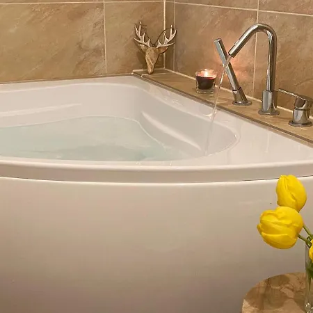 Apartmán Schweizerhaus Drážďany