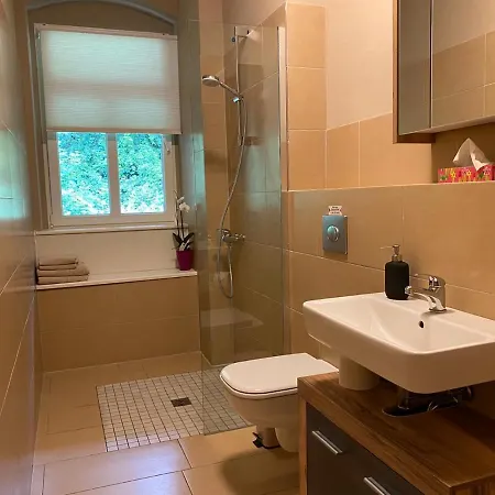 公寓 Schweizerhaus 德累斯顿