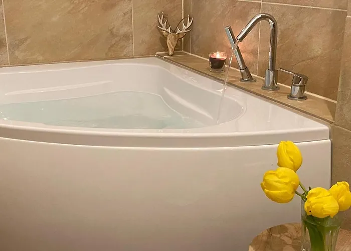 Apartament Schweizerhaus Drezno