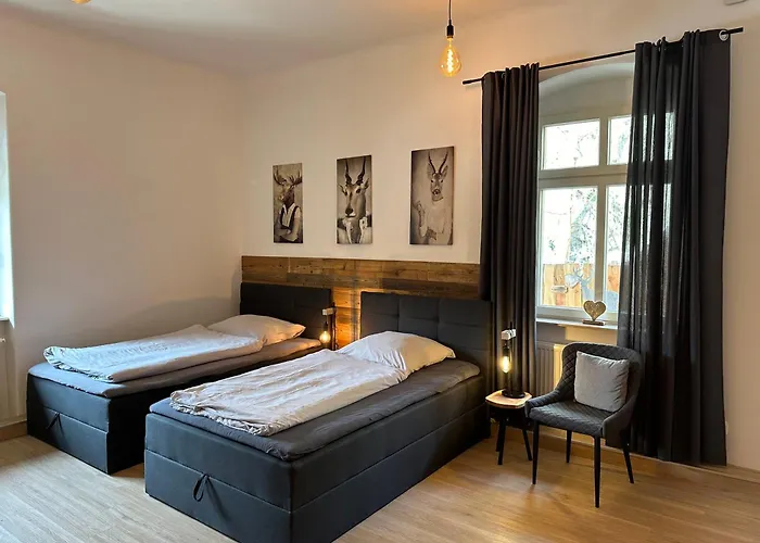 Schweizerhaus * Drezno