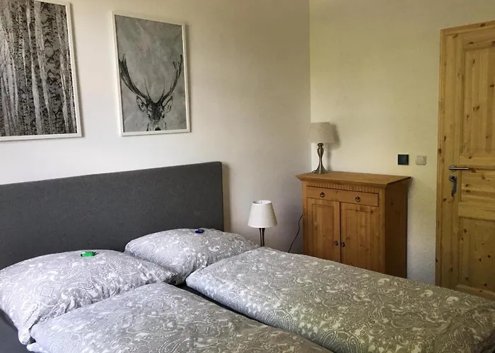 Schweizerhaus Апартаменты *