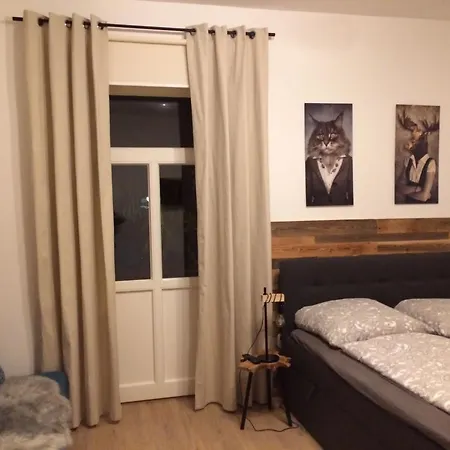 Apartment Schweizerhaus *