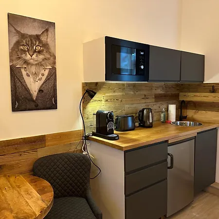 Schweizerhaus Apartment